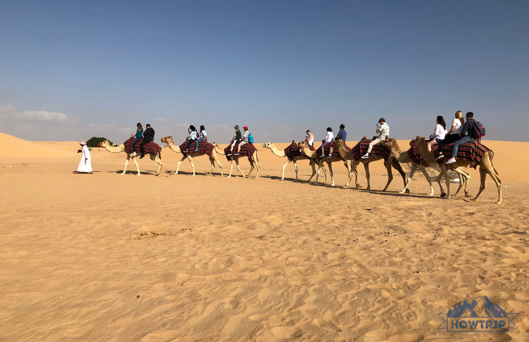 Катание на верблюдах в Дубае