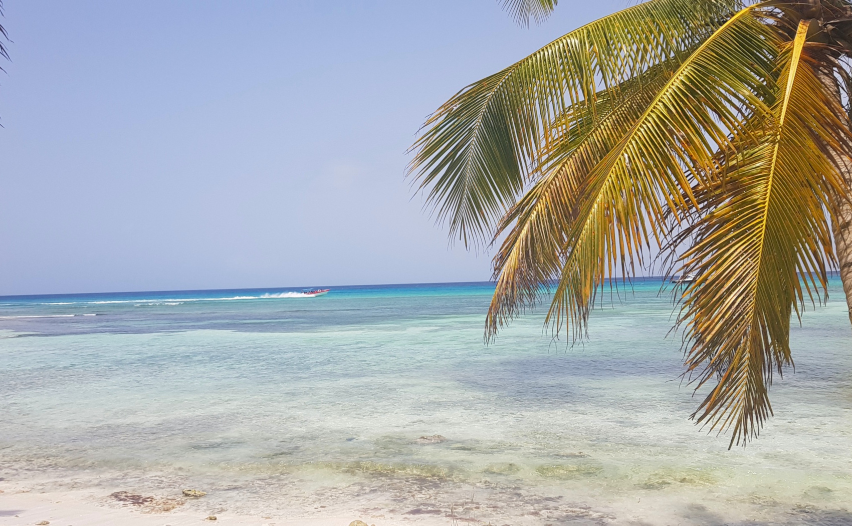 7 лучших курортов Доминиканы - 2024
