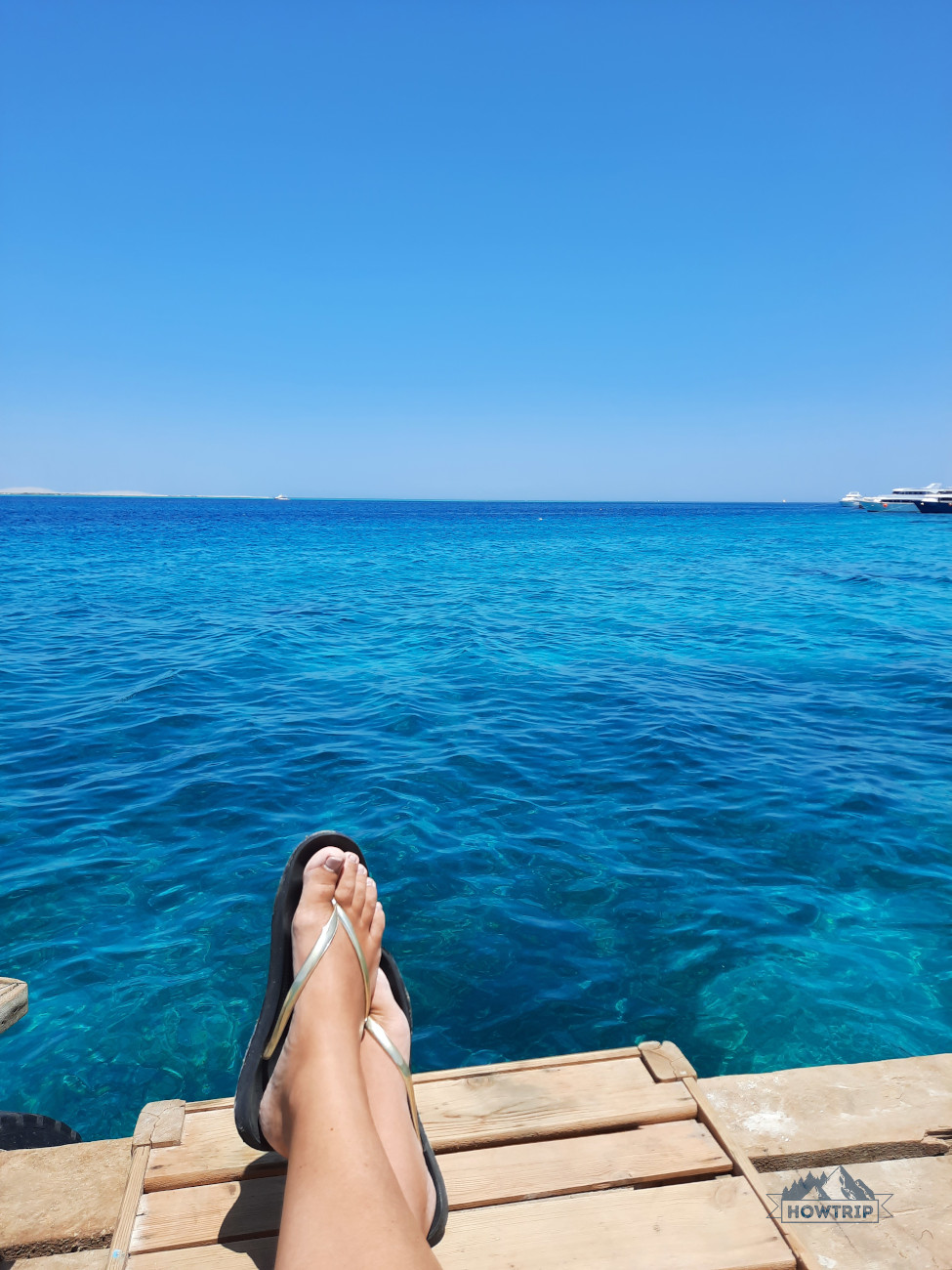 Анемон Анемон