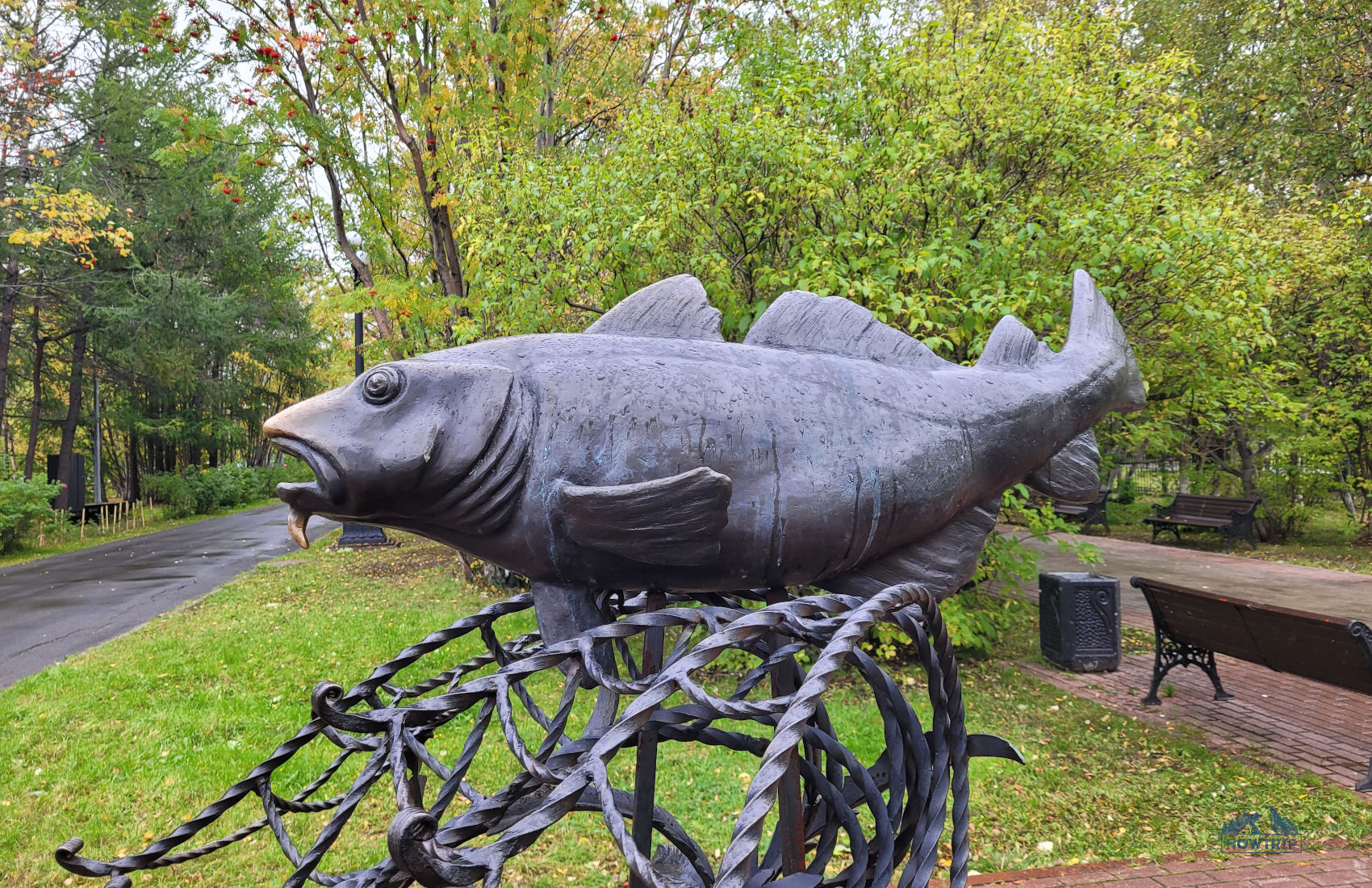 Центральный сквер и памятник треске Центральный сквер и памятник треске