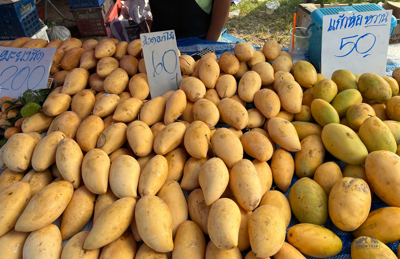 Цены на манго Пхукет
