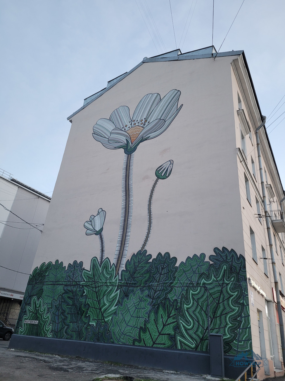 Мурал в Мурманске Мурал в Мурманске