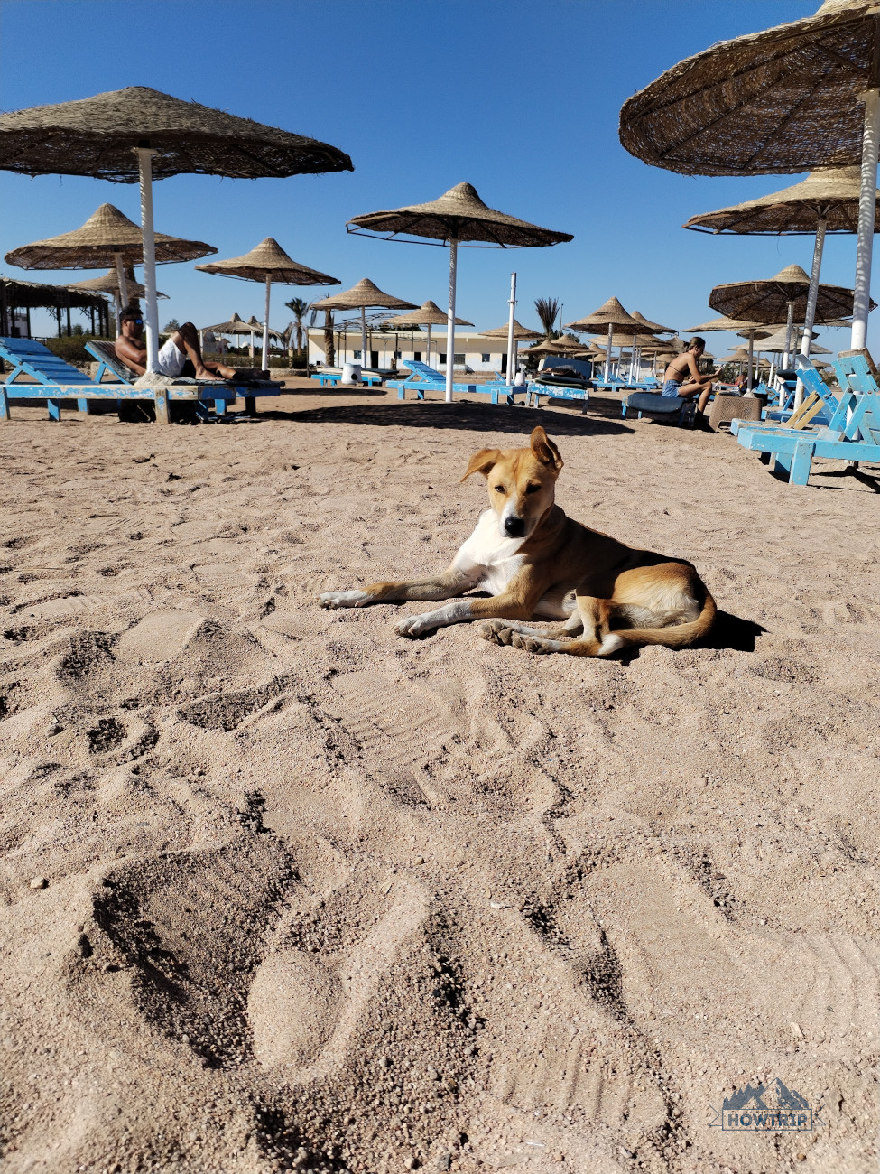 Пляж Анемон в Хургаде Пляж Анемон в Хургаде