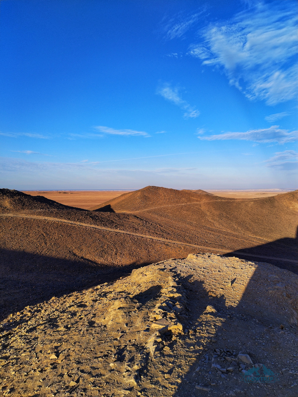 Сафари Сафари