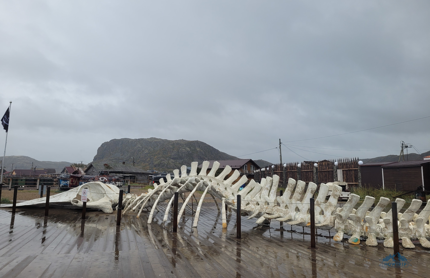 Скелет кита Левиафан