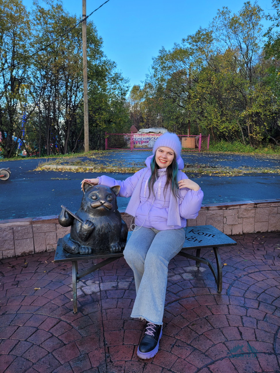 кот в Мурманске кот в Мурманске