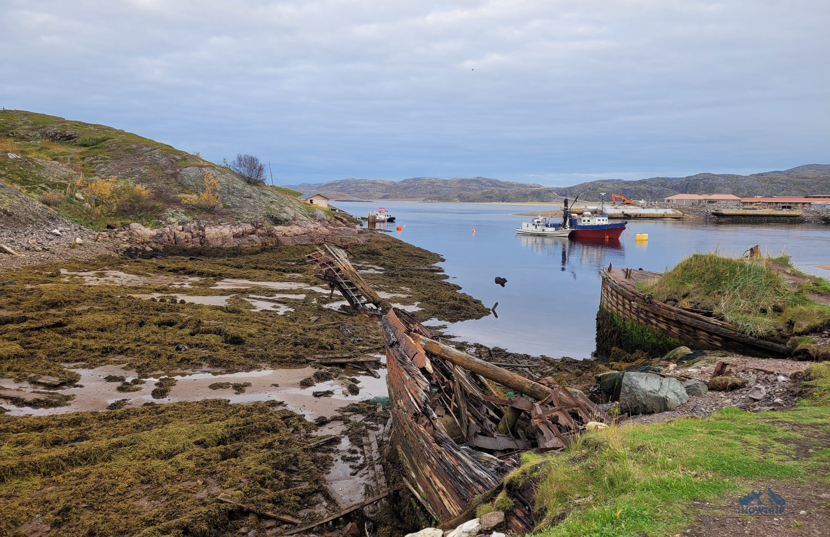 скелеты кораблей Териберка