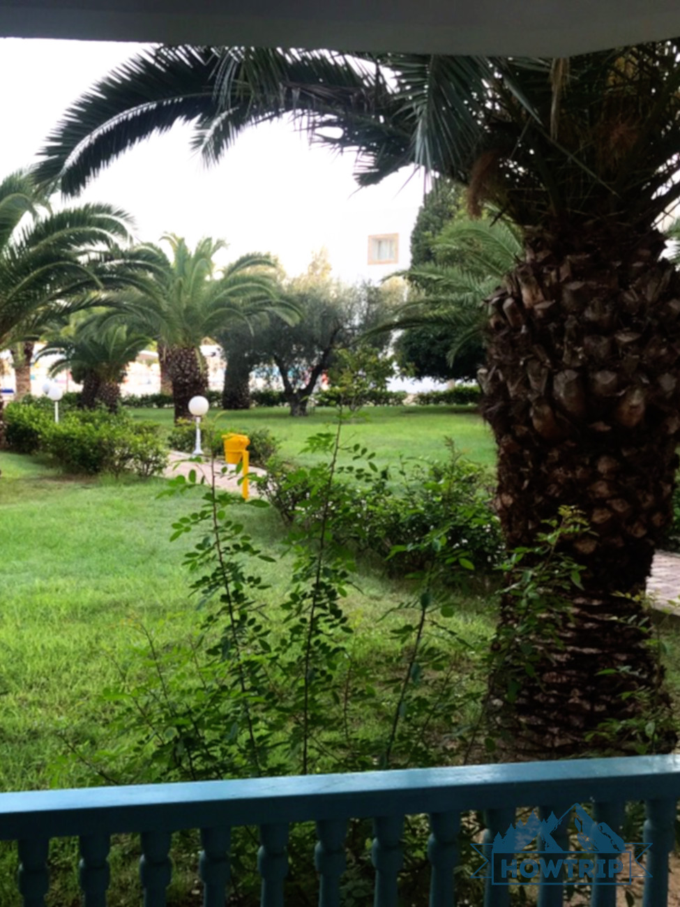 Природа в Тунисе у отеля