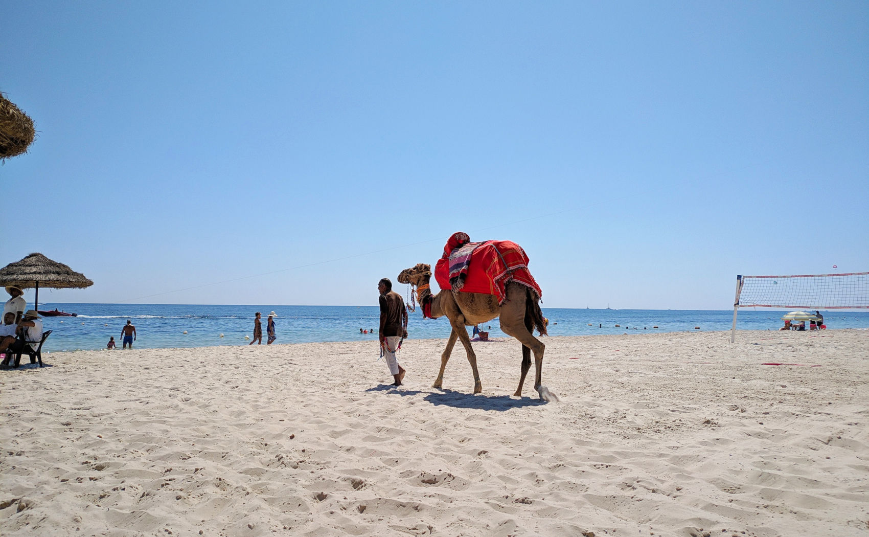 Отдых в Суссе (Тунис) - 2021: отзывы туристов