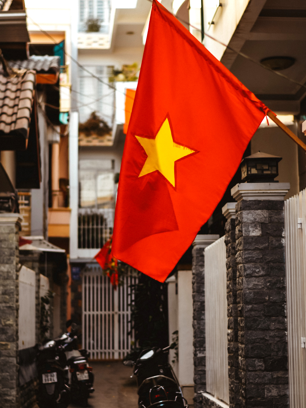 Вьетнамский флаг