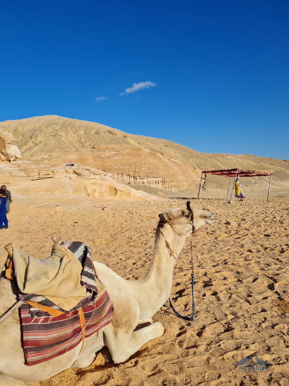 Экскурсия на верблюдах в Египте