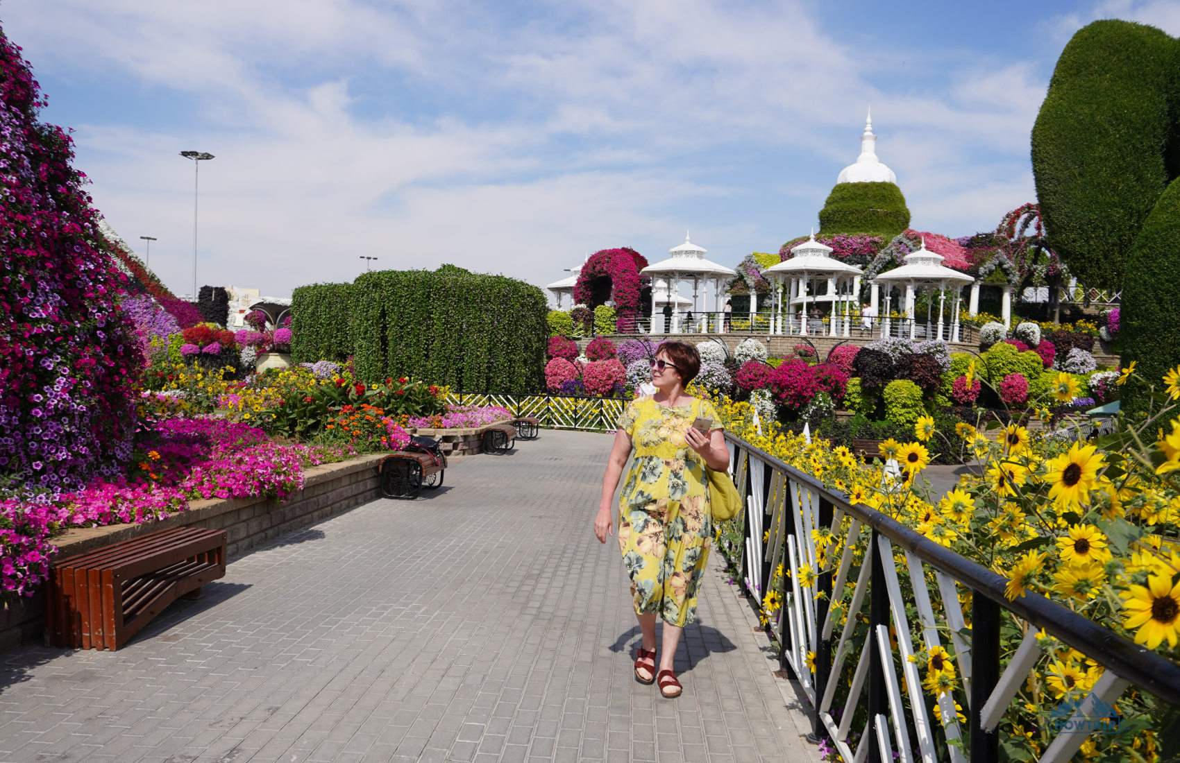 Miracle Garden