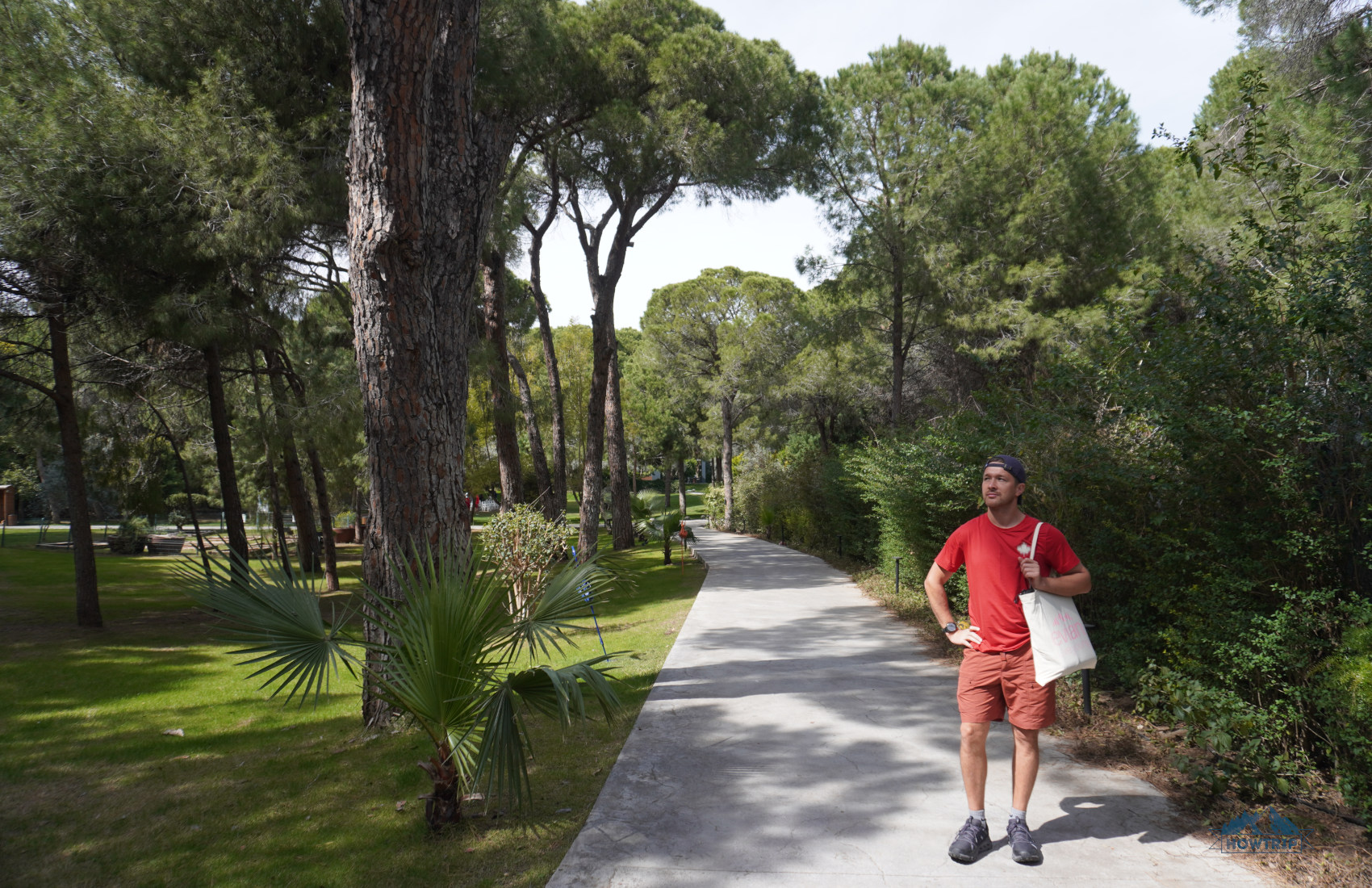 хвойная территория отеля Voyage Belek
